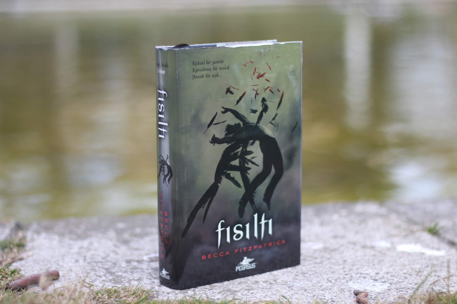 hush hush serisi ilk kitabı
