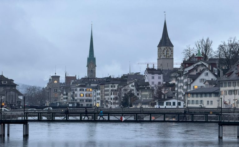 İsviçre Dosyası: Yeşil Pasaportun Tadı, Bordonun Çilesi